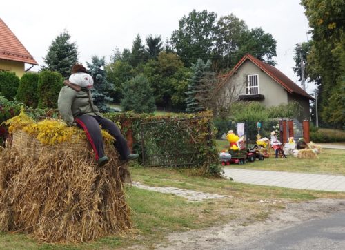 Dożynki Domaniewice 04 