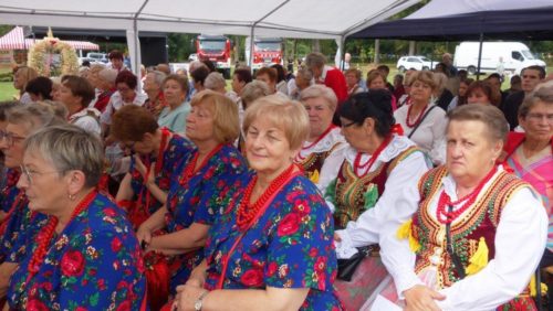 Dożynki Domaniewice 29 