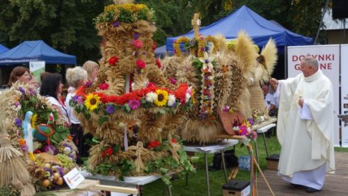 Dożynki Domaniewice 61 