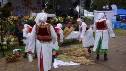 Dożynki Domaniewice 63 