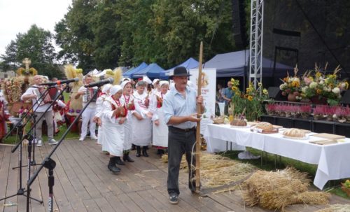 Dożynki Domaniewice 66 