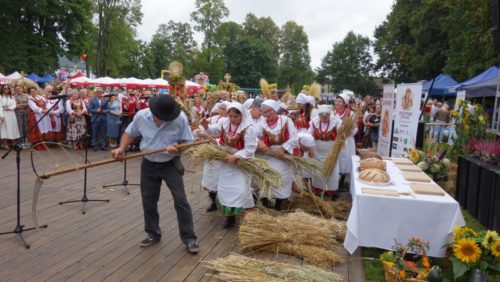 Dożynki Domaniewice 67 