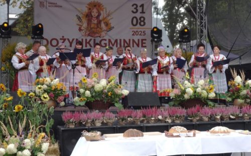 Dożynki Domaniewice 74 