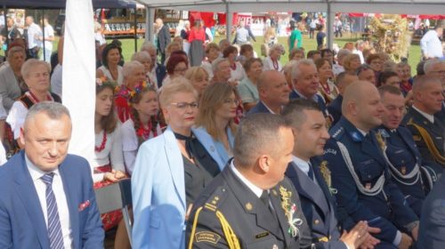 Dożynki Domaniewice 81 