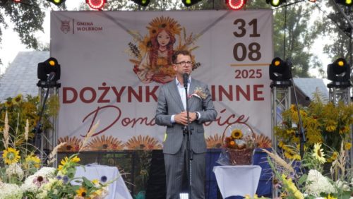 Dożynki Domaniewice 87 