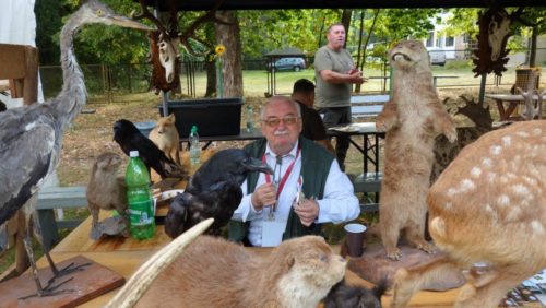 Dożynki Domaniewice 93 