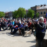 Majówka Europejska na Rynku w Olkuszu - 01.05.2019_48