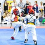 Mistrzostwa Jury Krakowsko-Częstochowskiej w Oyama Karate