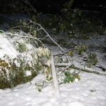 Nagły atak zimy w Olkuszu i okolicach
