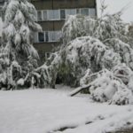 Nagły atak zimy w Olkuszu i okolicach