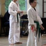 Otwarte Mistrzostwa Jury Krakowsko-Częstochowskiej Oyama Karate w Kata
