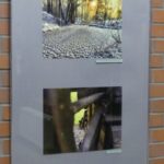 Siódma odsłona wystawy Fotograficy Olkuscy - 17.03.2017_33