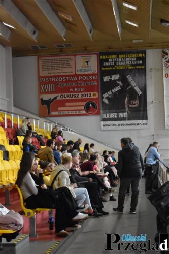 CBD 0012 kopia (Large)