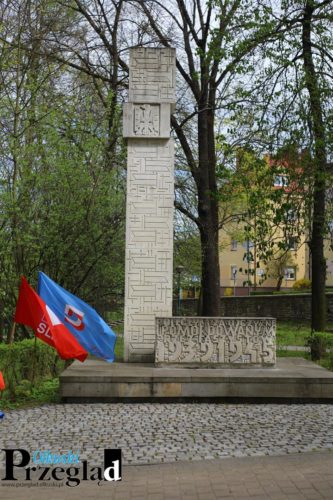 IMG 9067 (Large)