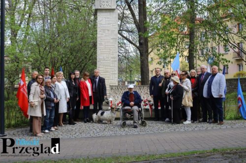 IMG 9163 (Large)