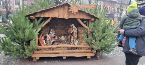 20251206 145446 (Large)