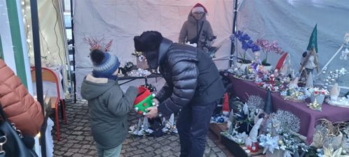 20251206 153442 (Large)