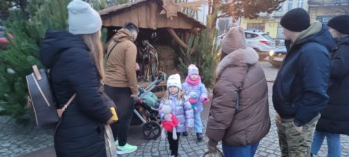 20251206 154110 (Large)