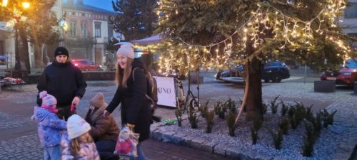 20251206 155821 (Large)