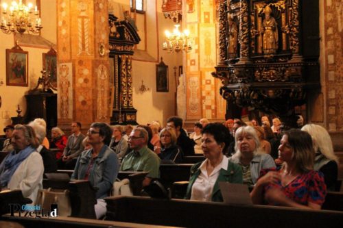IMG 2725 (Large)