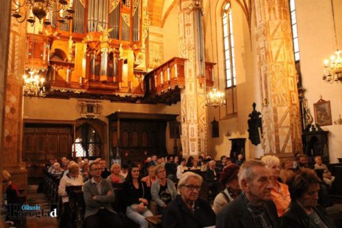 IMG 2769 (Large)