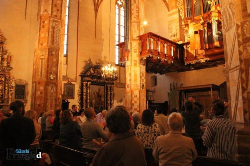 IMG 2818 (Large)