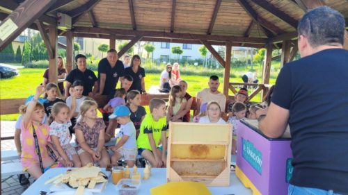 Pszczela Przystań03