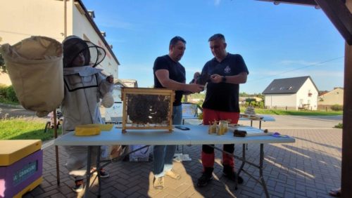 Pszczela Przystań08