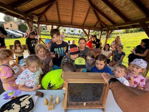 Pszczela Przystań10