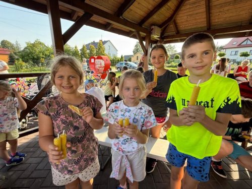 Pszczela Przystań11