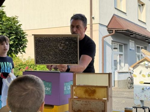 Pszczela Przystań16