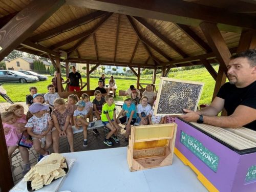 Pszczela Przystań25