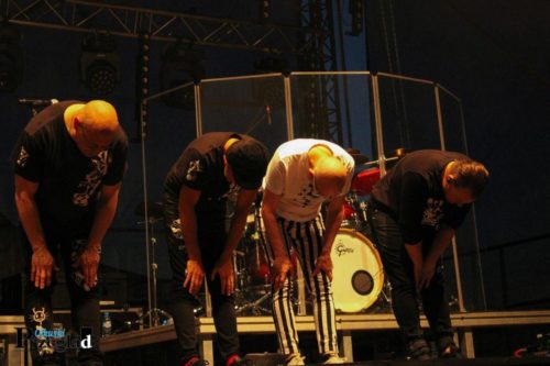 IMG 1828 (Large)