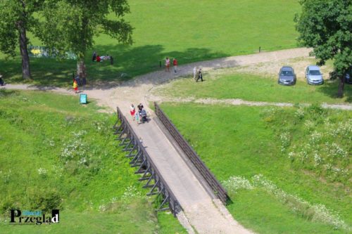 IMG 4054 (Large)