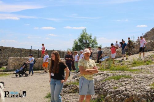 IMG 4113 (Large)