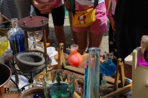 IMG 4153 (Large)