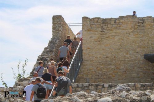 IMG 4196 (Large)