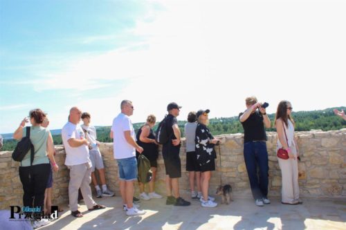 IMG 4203 (Large)
