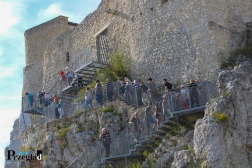 IMG 4239 (Large)