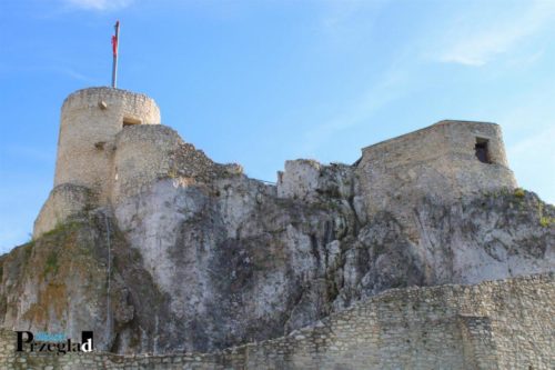 IMG 4249 (Large)