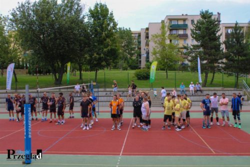 IMG 4253 (Large)
