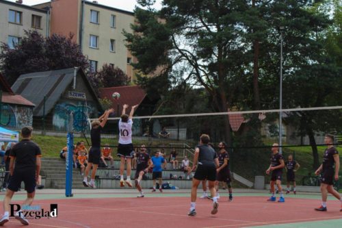 IMG 4302 (Large)