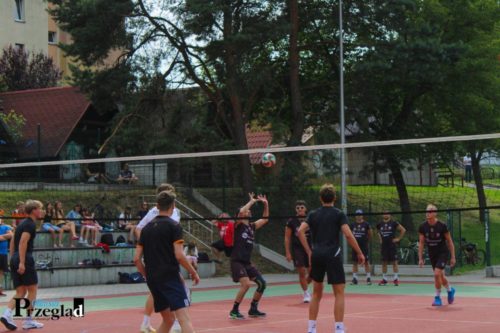IMG 4310 (Large)