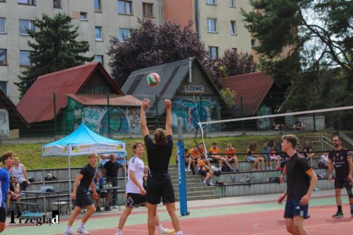 IMG 4315 (Large)