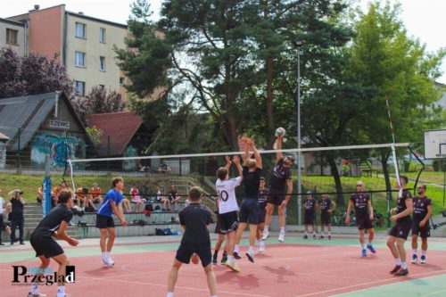 IMG 4323 (Large)
