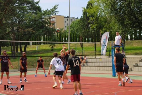 IMG 4328 (Large)