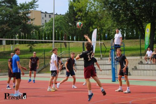 IMG 4332 (Large)