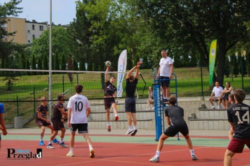 IMG 4335 (Large)