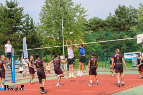 IMG 4351 (Large)