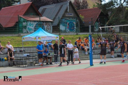 IMG 4352 (Large)